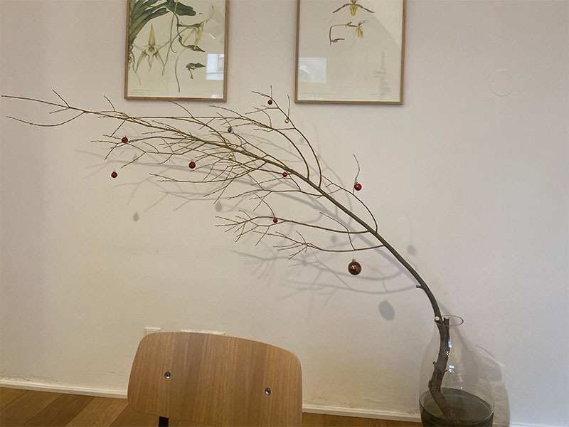 Neuigkeiten letztes Jahr